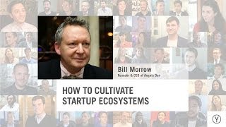 How to Cultivate Startup Ecosystems | Bill Morrow