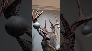 Is It too Much To Ask For a Big Buck for Christmas? Merry Christmas From Hardnox #shorts #deer