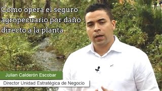 Seguro Agrícola por planta