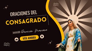 Oraciones del Consagrado: Encuentra Paz y Fortaleza en la Devoción Mariana  #OracionesDelConsagrado