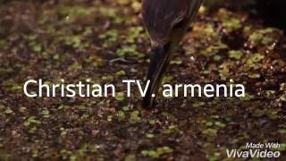 Christian  Tv. armenia INTRO