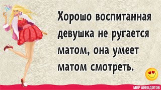 Подборка смешных анекдотов про жизнь, про любовь, про взаимоотношения, про евреев, короткие юморные