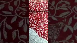 Pure Cotton Chikankari suit