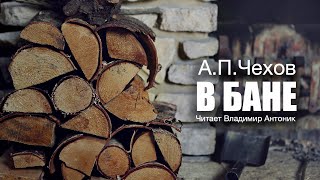 «В бане». А.П.Чехов. Аудиокнига. Читает Владимир Антоник