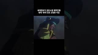 세계정부가 검은수염 해적단을 세계 '최악'으로 규정한 이유 #원피스