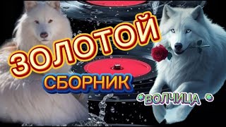 💎🔥ЗОЛОТОЙ СБОРНИК * ВОЛЧИЦА* ЗАХОДИ СЛУШАЙ🎧 КАЙФУЙ