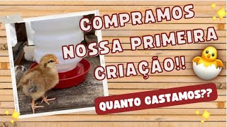 COMPRAMOS NOSSA PRIMEIRA CRIAÇÃO 🐥🐣| Quanto gastamos?? 💵💵