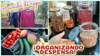 ¡ASÍ CONSERVO FRUTAS Y VERDURAS HASTA POR 1 MES! + RUTINA DE LAVADO DE ROPA 💯