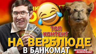 На верблюде до БАНКОМАТА 🤣 / ТОП КОНТЕНТ #гагарин