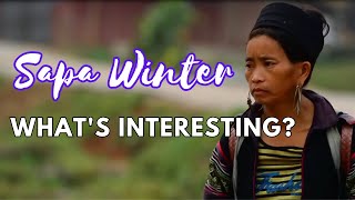 Sapa Winter Tourism: Discover the Charms of the Chilly Season