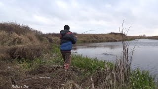 ХИЩНЫЙ Стационарный ПОПЛАВОК на ЩУКУ! Рыбалка на Живца-СПИННИНГ в НОЯБРЕ! ЧТО ЛУЧШЕ?!