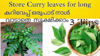 How to keep curry leaves for long Time | Curry leaves Storing Tips How to store curry leaves