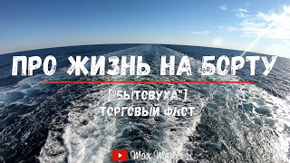 "Бытовуха" на торговом флоте  - "Морская профессия, неморскими словами" ep. 3 (Быт, досуг, каюты)