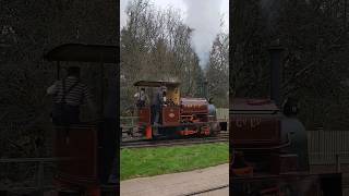 Hudswell Clarke locomotives  No.19 of 1914 & Alpha of 1922 @ Statfold Barn Railway 16.03.24  #shorts