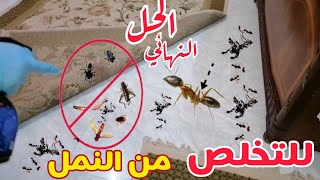 احسن طريقه للتخلص من النمل من البيت نهائيا 🦗🦗🦗🐜🐜