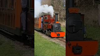 End of an Era day Evesham Vale Light Railway (The Valley) 25.02.24 Monty, Dougal, St Egwin #shorts