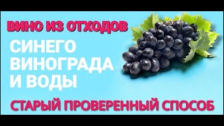 ВИНО из отходов синего винограда и ВОДЫ . Рецепт