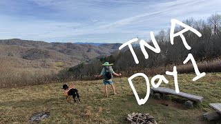 Day 1 of 3 - Willow Walks the Appalchain Trail in TN (Devil Fork Gap to Uncle Johnny's)