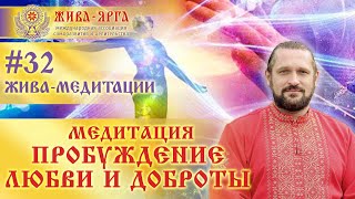 ПРОБУЖДЕНИЕ ЛЮБВИ И ДОБРОТЫ. Жива-Медитации. #32 Владимир Куровский