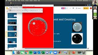 BMES   Cell Counting in ImageJ