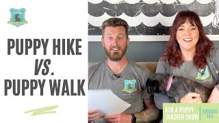 Puppy Hike VS Walk - The BIG Difference You Need to Know! | AAPTS Ep. 144