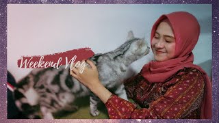 Main ke Cat Cafe & terjadi hal yang menakutkan... | Weekend Getaway Vlog | Singapore Vlog