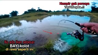 Rasanya jantung mau copot kalo ikan sebesar bayi kolot yang makan