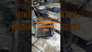 RADIATOR VARIO 125 JEBOL