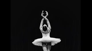 Dying Swan Spring 2018 Vanessa Meikle