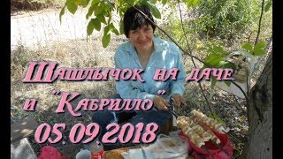 Шашлычок на даче и "Кабрилло" _ 05.09.2018