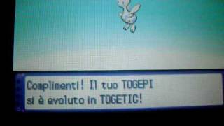 #15 th of Platinum: Shiny Togetic... Evolution of my shiny Togepi with the happyness at level 62