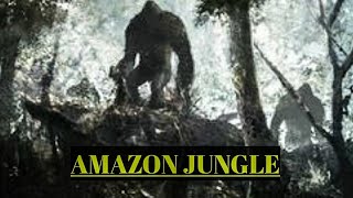 Secrets of the Amazon Jungle//Amazon Jungle//under shadow