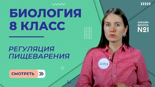 Регуляция пищеварения. Видеоурок 23. Биология 8 класс