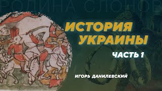 История Украины. От Ярослава Мудрого до Речи Посполитой. Игорь Данилевский. Родина слонов №334