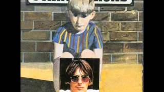 Paul Weller - You Do Something To Me