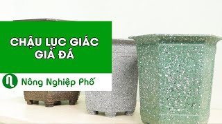 CHẬU LỤC GIÁC CAO GIẢ ĐÁ |nongnghieppho.vn