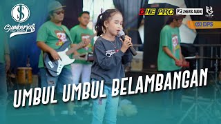 NEW ONE PRO~ UMBUL UMBUL BELAMBANGAN