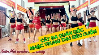 CÂY ĐA QUÁN DỐC NHẠC TRUNG THU SIÊU CUỐN CÙNG XUÂN MAI BÀI AEROBIC GIẢM MỠ TOÀN THÂN