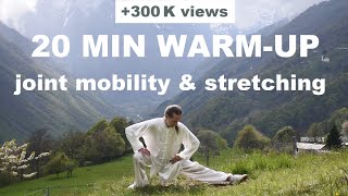 20 MIN TAI CHI WARM UP AND STRETCH - Joint Mobility, Stretching & Relaxation as an Anti Aging System