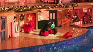 Sea Lions Show - SeaWorld San Diego