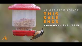 Anything Birds Eat Extended Sale PROMO