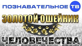 Золотой ошейник человечества (Познавательное ТВ, Валентин Катасонов)