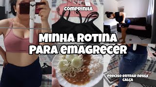 DIERIO DA DIETA | MINHA ROTINA PARA EMEGREÇER | COMPRINHA @AnttoniaSousa