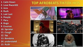 Top Afrobeats TikTok Hits ~ Greatest Hits