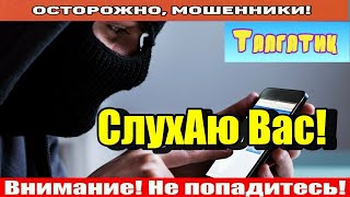 Мошенники звонят по телефону / Свинка слмлась.