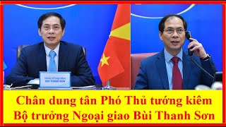 Chân dung tân Phó Thủ tướng kiêm Bộ trưởng Ngoại giao Bùi Thanh Sơn