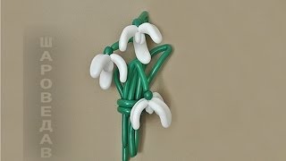 Подснежник Галантус из шаров Snowdrop from balloons.