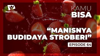 KAMU BISA  Episode 64 "Manisnya Budidaya Strauberi"