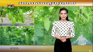 VTV5 TÂY NAM BỘ - ការព្យាករណ៍អាកាសធាតុកសិកម្ម (4/11/2022)