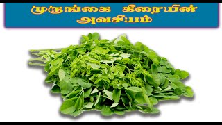 முருங்கை கீரையின் அவசியம் |  தமிழ் உணவுகள் | தமிழ் கைகள்